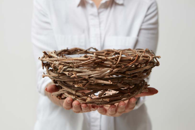 5 Tips for Dealing with an Empty Nest 