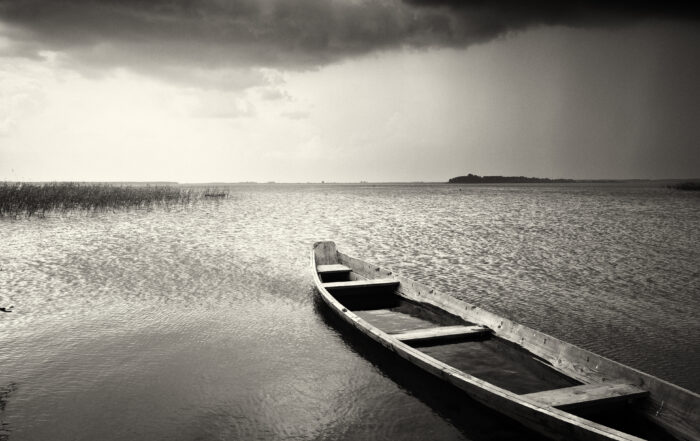 Lonely in Your Grief