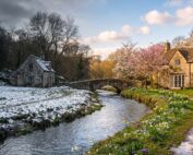 Navigating the Emotional Shift of Spring in Chicagoland